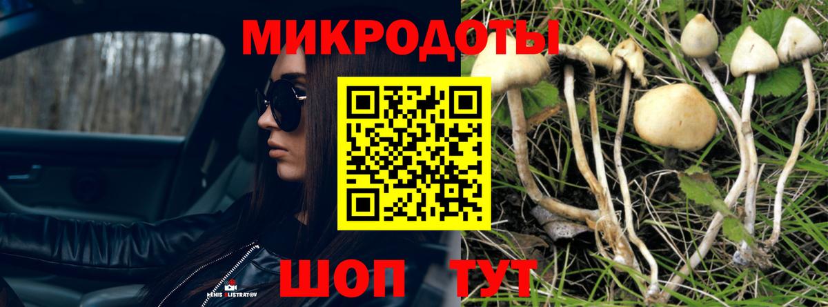 Рославль  Псилоцибиновые грибы прущие грибы  Вход с VPN 